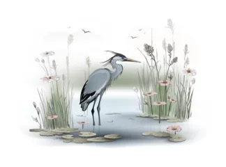 Foto op Plexiglas The blue heron stands in the water of the lake, surrounded by large pink flowers, floating lotus leaves and thickets of reed, cane and other marsh plants. Vector illustration in a watercolor style. © steadb