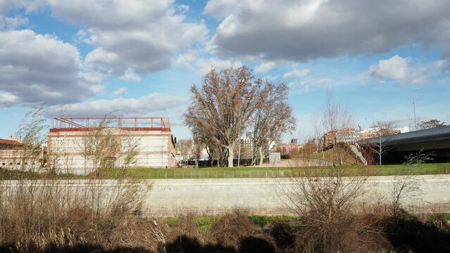 Paisaje urbano paseo Madrid R&iacute;o con &aacute;rbol