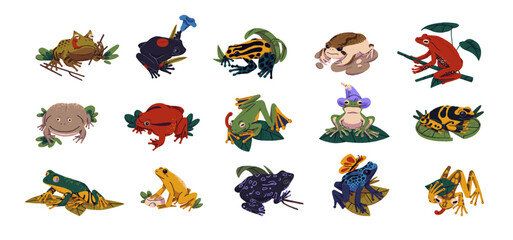 Different frogs and toads, animal species set. Various wild froggies. Diverse exotic tropical amphibians, reptiles of swamps, wetlands. Flat vector illustrations isolated on white background