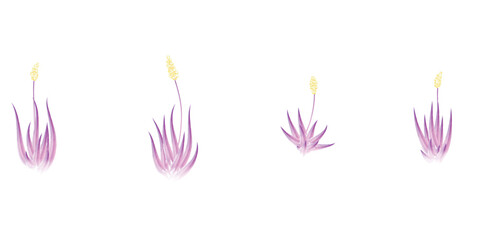 Set of 4 purple Watercolor aloe vera and leaf illustration icons, simple beautiful composition of decorative elements, isolated on grey background, hand drawing.