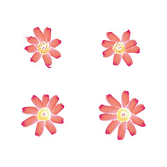 Set of 4 red and pink Watercolor flower illustration icons, simple beautiful composition of decorative elements, isolated on grey background, hand drawing.