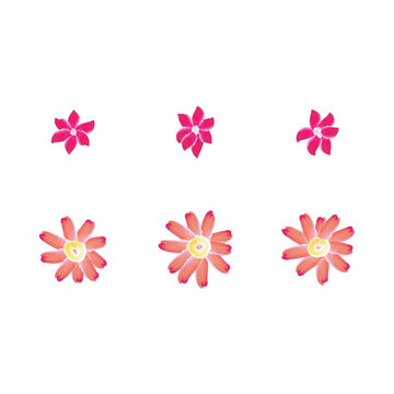 Set of 6 red and pink Watercolor flower illustration icons, simple beautiful composition of decorative elements, isolated on grey background, hand drawing.