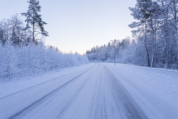 Fototapeta premium Winter forest with road covered with snow