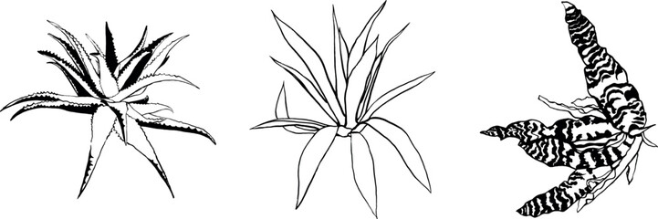 Set of modern botanical leaves. Set of botanical leaves perfect for posters. Hand drawn leaves and flowers, ink sketch style.