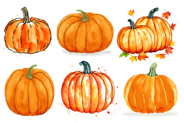 Autumn big set with orange watercolor Pumpkins vector on white isolated background. Collection farm harvest vegetable