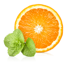 a round slice of orange and a sprig of mint on a white isolated background