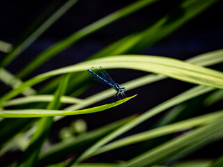 Posing for the camera