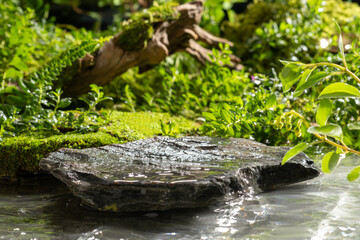 An empty stone platform is placed on the water with a forest floor, moss, ferns and trees behind....