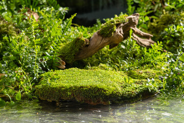 Beauty landscape concept for cosmetics product presentation with empty stone platform covered with green moss on the forest background and water. Blank space to place mockup or your design