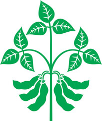 Soybean plant PNG illustration