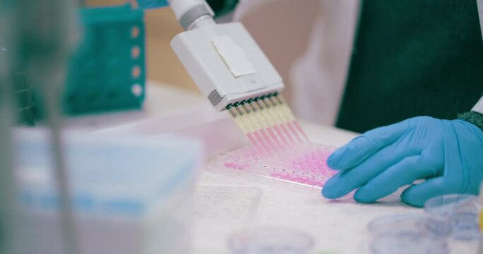 Scientist Working in Medical Laboratory Cancer Research Covic 19 Pandemic