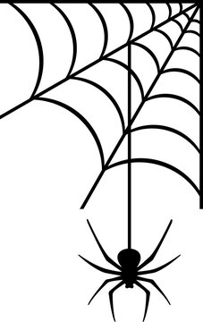 Spider and web PNG illustration