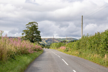 Road in the countryside
