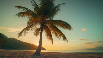 Naklejka na ściany i meble Coconut Tree on the Beach