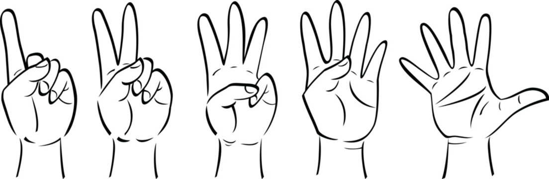 Set of human hands. Black outline of hands in different positions on a white background.