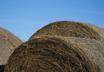 A twisted haystack into a roll closeup