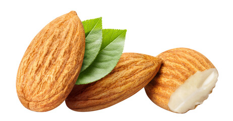 Delicious almonds cut out