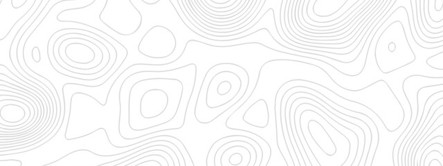 Abstract pattern with lines . Abstract Vector geographic contour map and topographic contours map background. Abstract white pattern topography vector background. Topographic line map background.