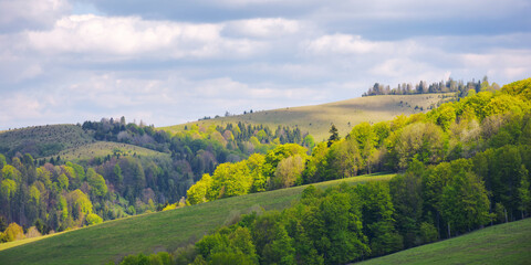 countryside scenery in spring. forested rolling hills with grassy meadows on a sunny day. distant ridge with spots of snow beneath a blue sky with clouds. beautiful nature background