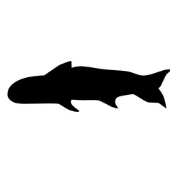 Salmon Fish Silhouette 