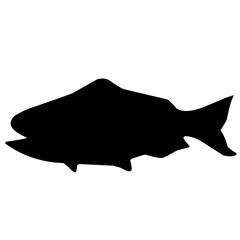 Salmon Fish Silhouette 