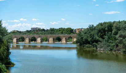 Fototapeta na wymiar Puente Romano de Córdoba en Andalucia