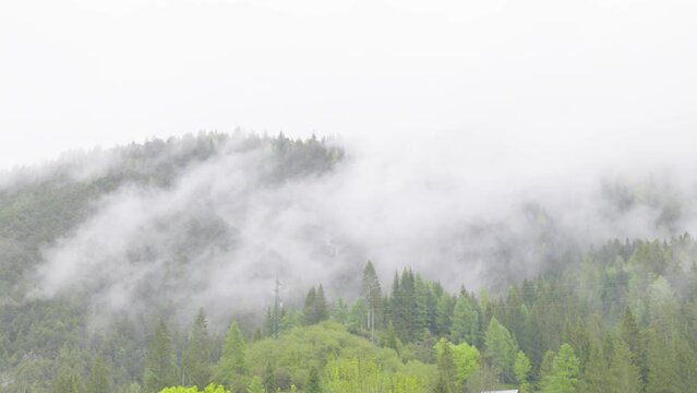 un bel paesaggio di montagna dopo la pioggia, i boschi di montagna ed i loro splendidi colori in primavera