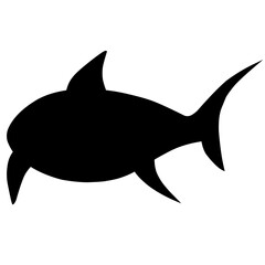 Shark Silhouette 