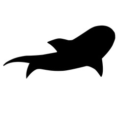 Shark Silhouette 