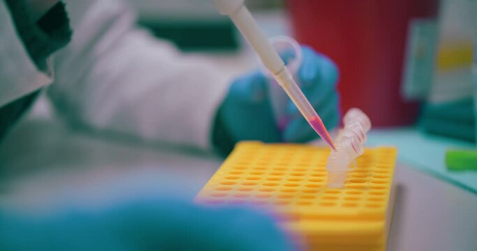 Scientist Working in Medical Laboratory Cancer Research Covic 19 Pandemic
