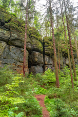 Magical enchanted fairytale forest, sandstone rocks named Kleinhennersdorfer Stein and ancient gorge at the hiking trail in the national park Saxon Switzerland, Bad Schandau, Germany.