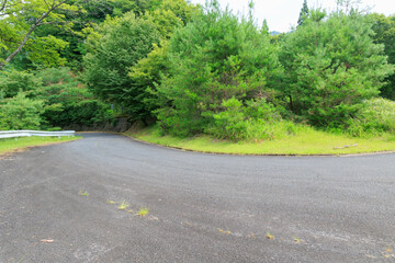 田舎のくねくね山道「田舎に帰るイメージ」