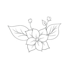 Hand Drawing Flower Outline Vector Illustration 