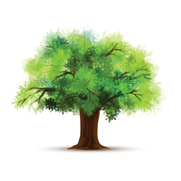 Painting a green tree isolated design