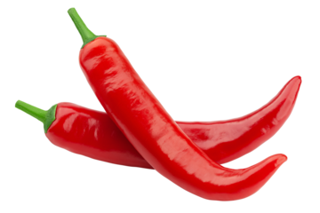 red hot chili peppers isolated on white background, full depth of field
