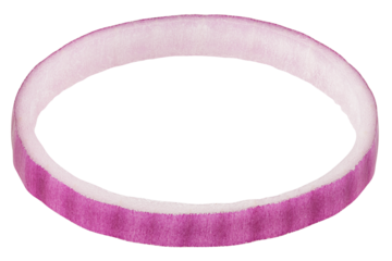 red onion isolated on white background, full depth of field