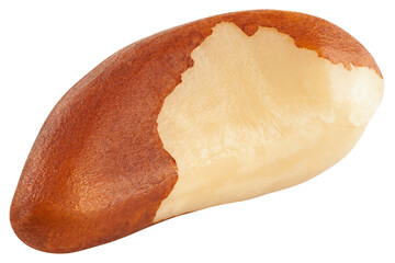 Brazil Nut isolated on white background, full depth of field