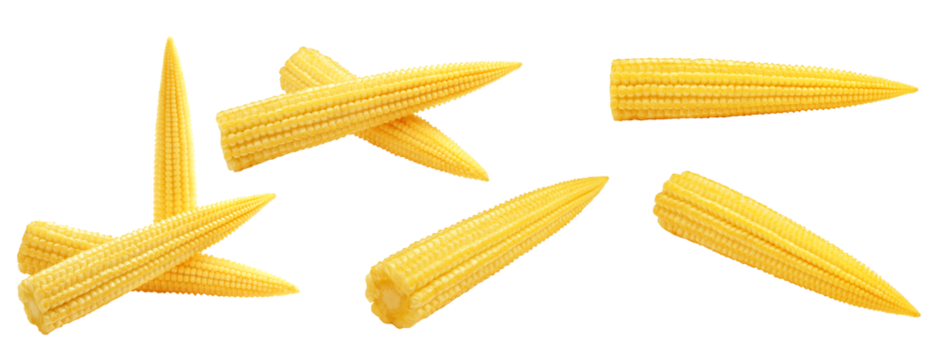 baby corn, isolated on white background, full depth of field