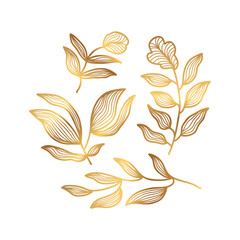Golden Floral Vector Illustration with Line Style. Luxury Hand Drawn Flowers