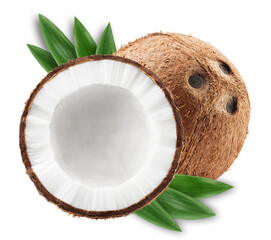 coconut, isolated on white background, full depth of field