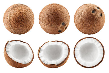 coconut, isolated on white background, full depth of field