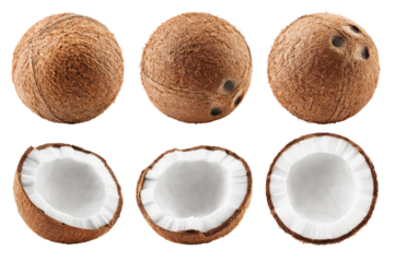 coconut, isolated on white background, full depth of field