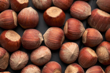 Whole hazelnuts nuts with shell close-up studio shot