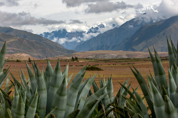 A view of the snow capped Andes Mountain range as seen from the farming land near Maras in Peru. Maras is a town in the Sacred Valley of the Incas, 40 kilometers north of Cusco.