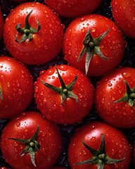 Fresh and wet tomatoes fullframe