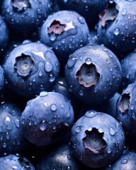 Fresh blueberrys fullframe as texture