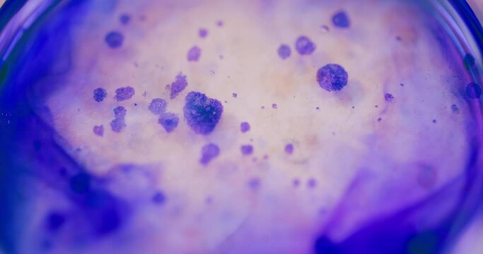 Scientist Working in Medical Laboratory Cancer Research Covic 19 Pandemic