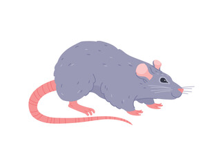 Cute smiling gray home rat flat style, vector illustration