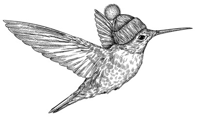 Vintage engraving isolated hummingbird set glasses dressed fashion illustration ink humming costume sketch. Bird background colibri tropical silhouette sunglasses hipster hat art. Hand drawn image