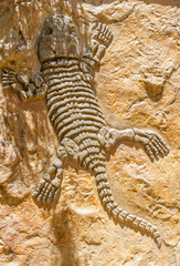 Fototapeta na wymiar cocodrilo tallado en piedra 